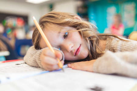 education and school concept little student girl studying at schoolの写真素材