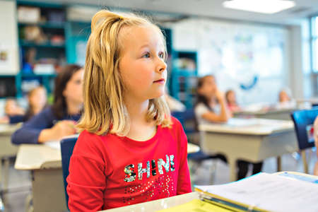 education and school concept little student girl studying at schoolの写真素材