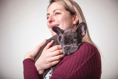 Beautiful woman with french bulldog on studioの写真素材