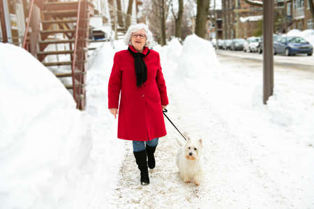 Senior woman Walking Dog Through Snowy streetの写真素材