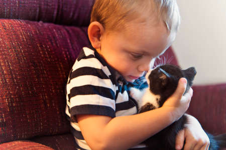 Little boy with kitten indoors taking good timeの写真素材