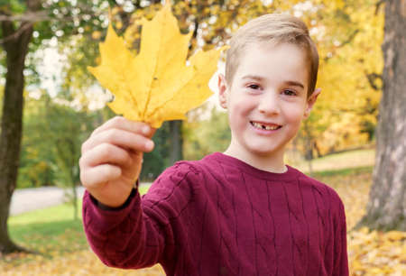 happy child playing outdoors in autumn park holding leafの写真素材