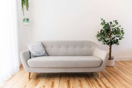 Modern living room with grey couch sofa