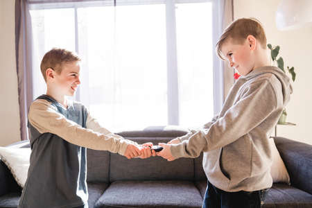 Brother Fighting Over Remote Control at home