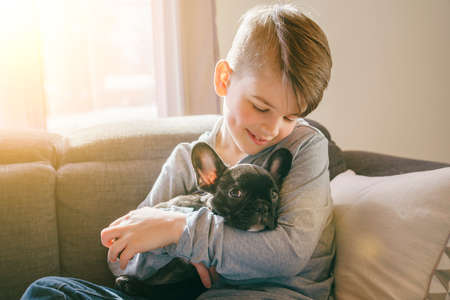 Young Boy with French Bulldog Puppy on the sofaの写真素材