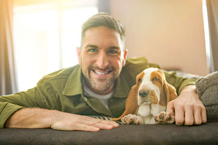 Man Playing With basset Pet Dog At Home sofa.の写真素材