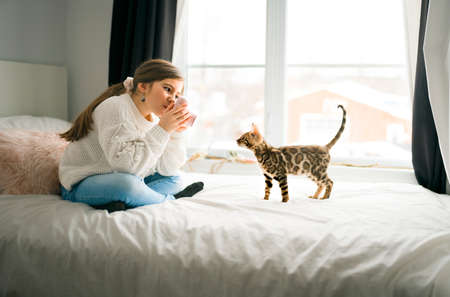 Bengal cat in the bed room with child girl taked photoの写真素材