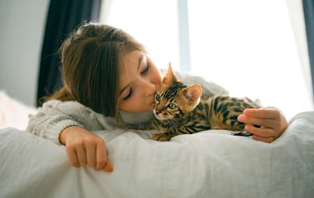 Bengal cat in the bed room with child girlの写真素材