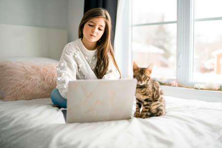 bengal cat with Child on computers sit bed at homeの写真素材