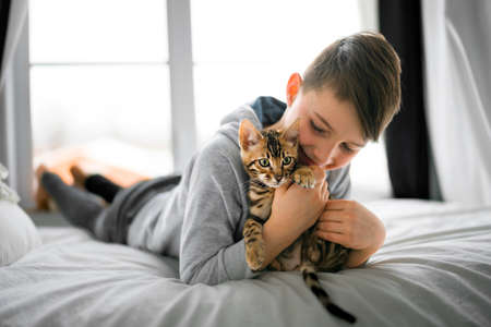 Bengal cat in the bed room with child boyの写真素材
