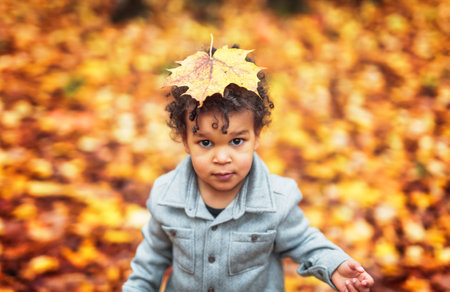 two year old little boy posing in autumn parkの写真素材