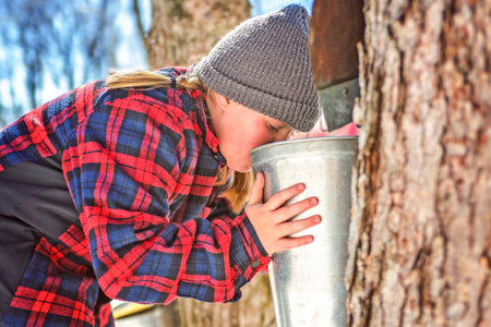 sugar shack, child having fun at maple shack forestの写真素材