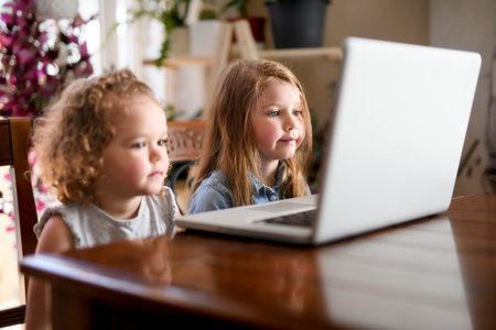 Two girls using laptop on the kitchen tableの写真素材