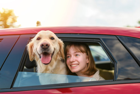 happy child girl and dog Golden Retriever looking out the open car windowの写真素材