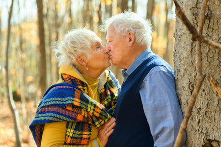 Beautiful Elderly couple embracing in autumn parkの写真素材
