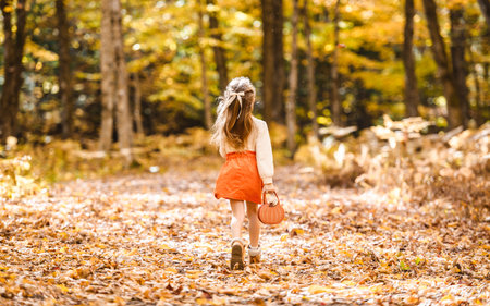 happy child girl throws autumn leaves and laughs outdoorsの写真素材