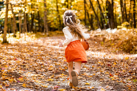 happy child girl throws autumn leaves and laughs outdoorsの写真素材