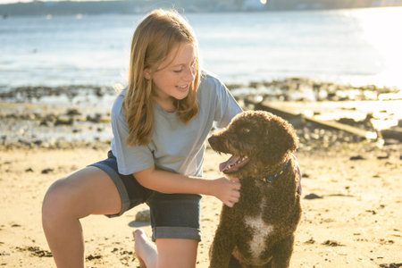 Portrait of one brown portuguese water dog outdoors on the beach with little child girl