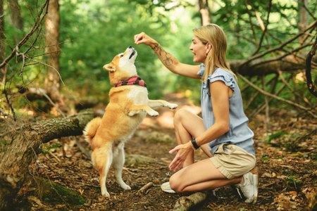 Happy woman with her Shiba Inu dog in the forest on summer seasonの写真素材