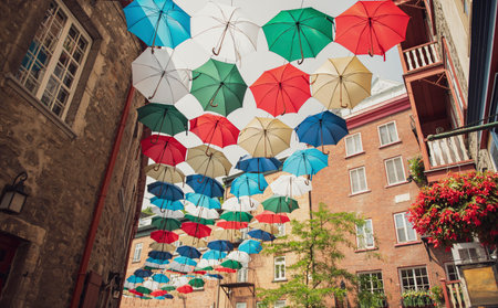 Lot of Umbrellas in Petit Champlain street Quebec city, Canadaの写真素材