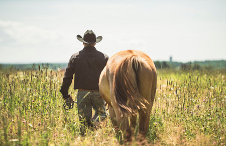 cowboy, stands next to her horse in summer seasonの写真素材