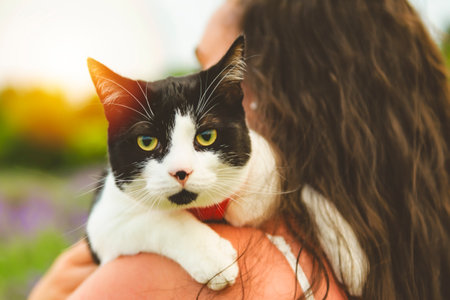 woman with cat on a lavender fieldの写真素材