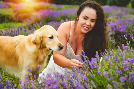 woman with golden retriever on a lavender fieldの写真素材