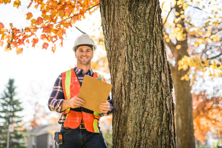 man holding a clipboard, inspect tree