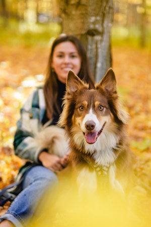 Loving woman with her shepherd Australian on fall seasonの写真素材