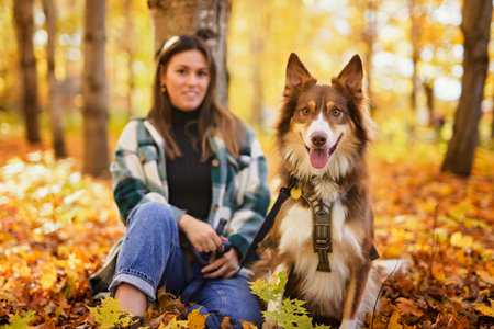 Loving woman with her shepherd Australian on fall seasonの写真素材