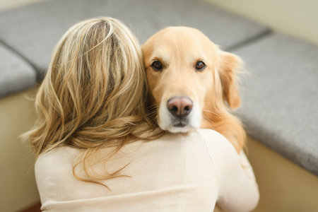 Portrait of woman with healthy golden retriever dog indoors in at home.の写真素材