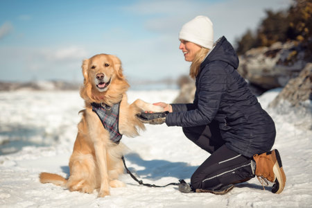 Portrait of woman with healthy golden retriever dog outside in winter seasonの写真素材