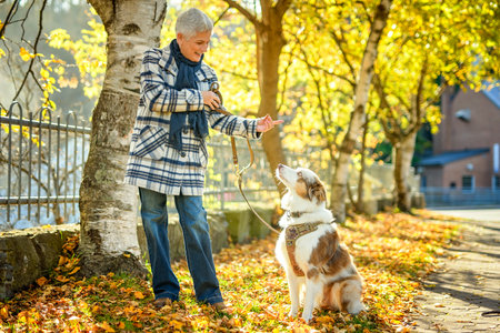 Loving young woman with her shepherd Australian on fall seasonの写真素材