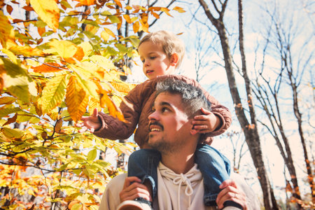 father with little boy in autumn beautiful forestの写真素材