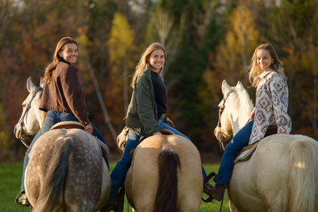Three young women having a great time with horses in a field on an autumn season. Sunset hour.の写真素材