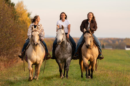 Three Young woman having great time with horse in field on autumn season. sunset hourの写真素材