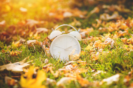 Daylight Savings Time Concept. A Clock And Leaves outside in autumn seasonの写真素材