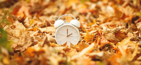 Daylight Savings Time Concept. A Clock And Leaves outside in autumn seasonの写真素材