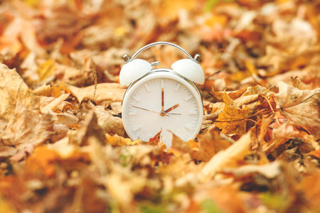 Daylight Savings Time Concept. A Clock And Leaves outside in autumn season