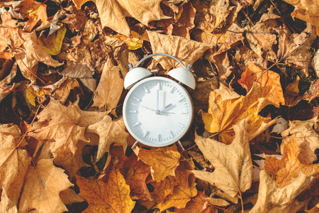 Daylight Savings Time Concept. A Clock And Leaves outside in autumn seasonの写真素材