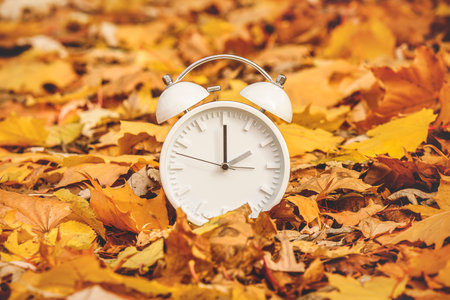 Daylight Savings Time Concept. A Clock And Leaves outside in autumn seasonの写真素材