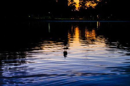 dwellerの写真素材