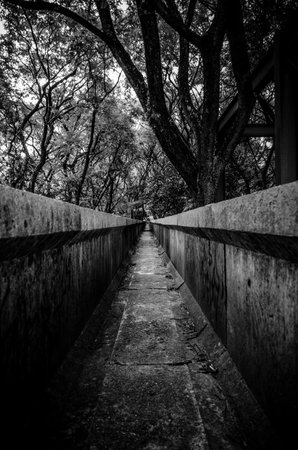 Concrete corridorsの写真素材