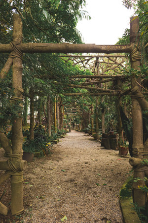 Corridor in nature 2