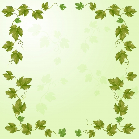 Green vineyardのイラスト素材