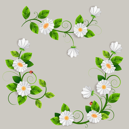 Bouquets of beautiful daisys isolated.のイラスト素材