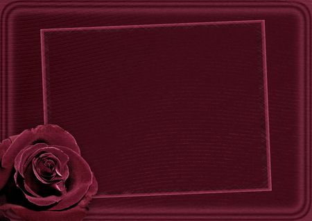 Card for the invitation with a beautiful rose on a dark background.の写真素材