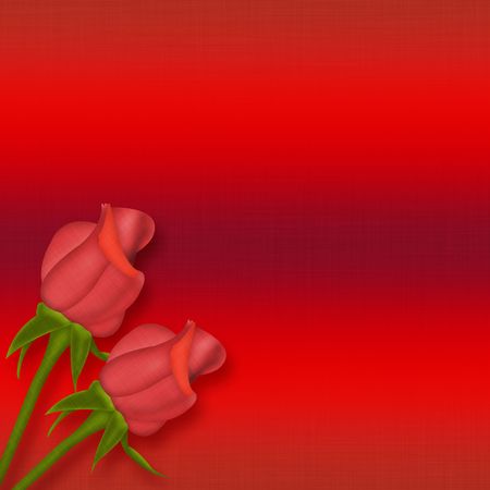 Two red rosesの写真素材