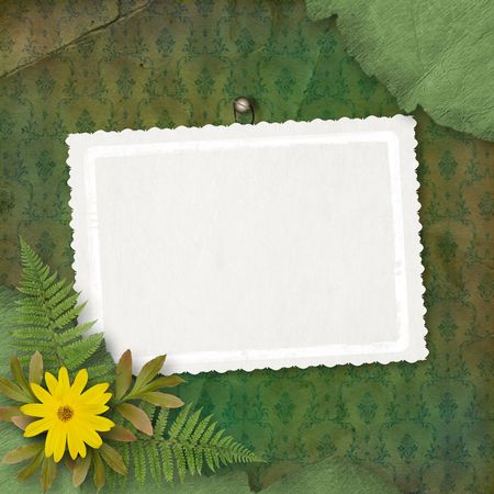 lace frames with bunch of flower and bladeの写真素材
