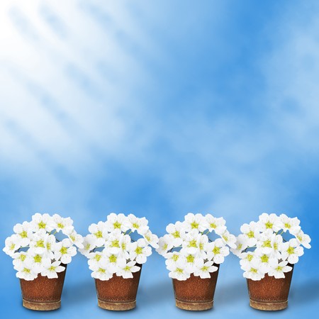 Card for greeting or congratulation with garland of flowerの写真素材